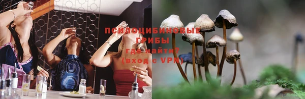 хмурый Липки