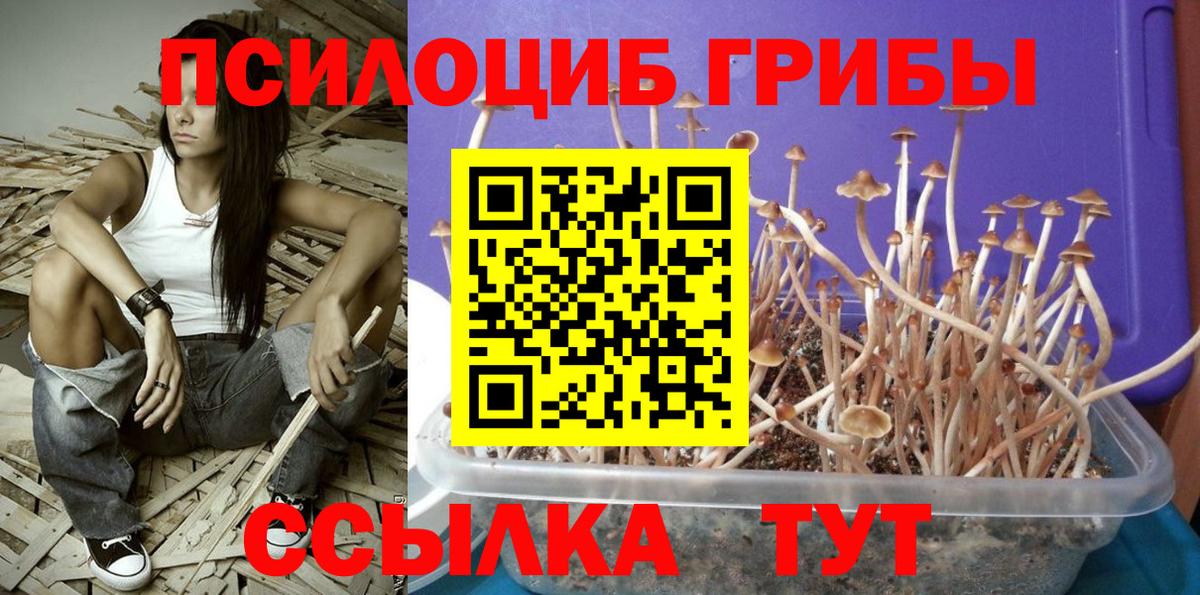 Псилоцибиновые грибы мицелий  Вход с VPN  Красногорск 